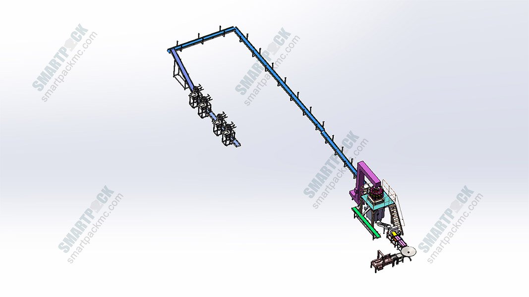 Complete packaging line showing primary and secondary operations working together