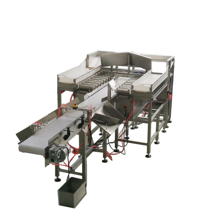 fish fillet packing machine