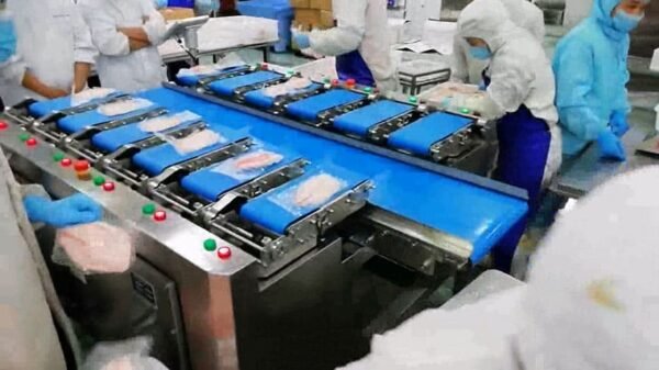 Fish Fillet Packaging Machine