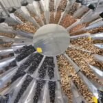 Trail Mix Packing Machine