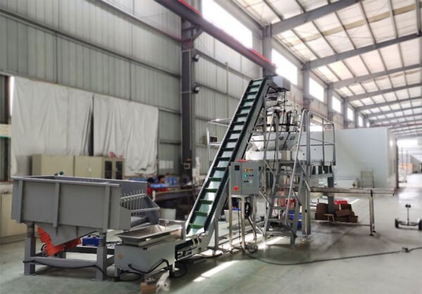 Machine Screw Box Industrial Screw Packing Machine