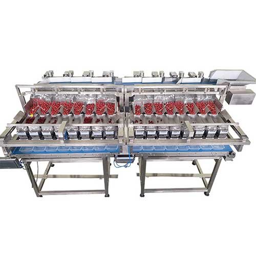 Blueberry packing machine