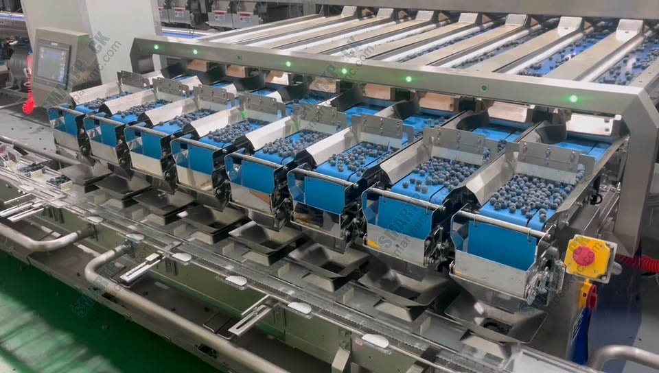 linear weigher for blueberries